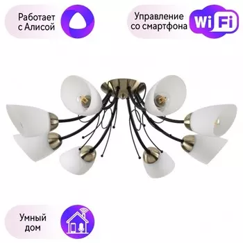 Потолочная люстра Lumion Eliana с поддержкой Алиса 4592/8C-А