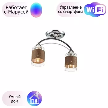 Потолочная люстра Lumion Filla с поддержкой Маруся 3030/2C-М