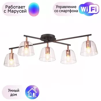 Потолочная люстра Lumion Joseph с поддержкой Маруся 4455/5C-М