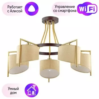 Потолочная люстра Lumion Karen с поддержкой Алиса 3750/5C-A