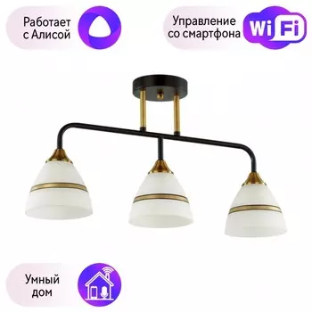 Потолочная люстра Lumion Nettie с поддержкой Алиса 5214/3CA-А