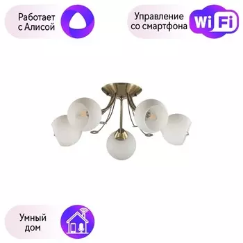 Потолочная люстра Lumion Tula с поддержкой Алиса 5265/5C-A