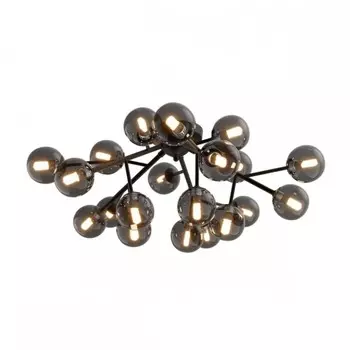 Потолочная люстра Maytoni Dallas MOD545CL-20B