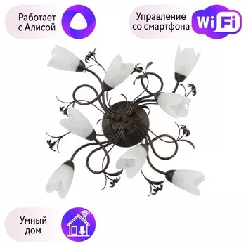 Потолочная люстра MW-Light Аида с поддержкой Алиса 323013708-A