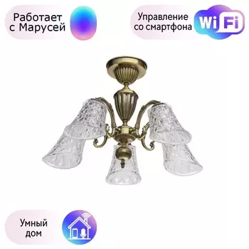 Потолочная люстра MW-Light Ариадна с поддержкой Маруся 450019105-М