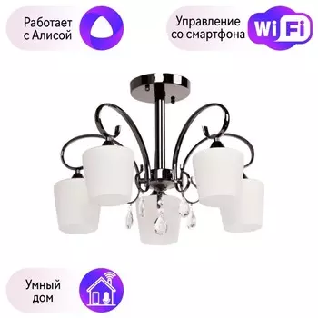 Потолочная люстра MW-Light Блеск с поддержкой Алиса 315011205-A