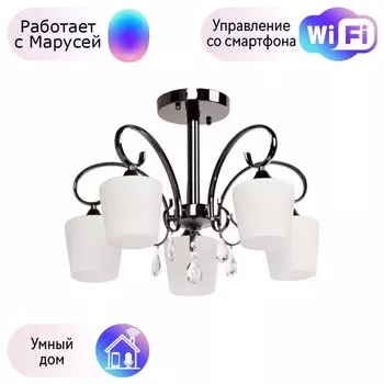 Потолочная люстра MW-Light Блеск с поддержкой Маруся 315011205-М