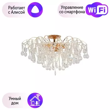 Потолочная люстра MW-Light Бриз с поддержкой Алиса 464018709-A