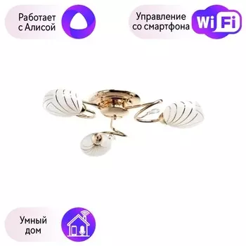 Потолочная люстра MW-Light Фиеста с поддержкой Алиса 267012803-A
