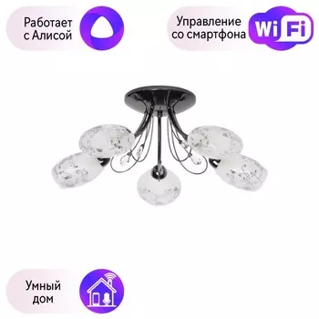 Потолочная люстра MW-Light Фиеста с поддержкой Алиса 267013505-A