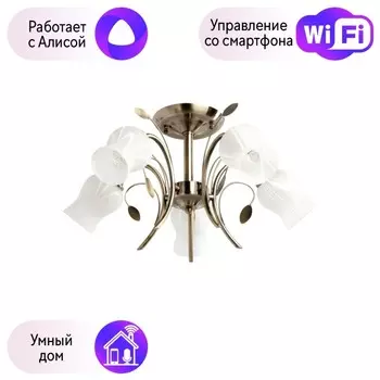 Потолочная люстра MW-Light Флора с поддержкой Алиса 256018205-A