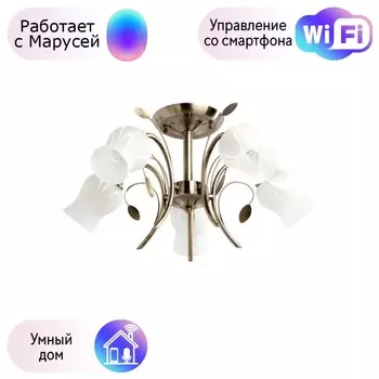 Потолочная люстра MW-Light Флора с поддержкой Маруся 256018205-М