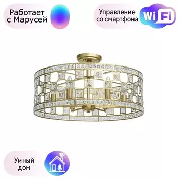 Потолочная люстра MW-Light Монарх с поддержкой Маруся 121011606-М