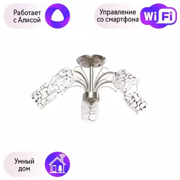 Потолочная люстра MW-Light Олимпия с поддержкой Алиса 261019505-A