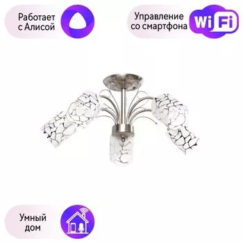 Потолочная люстра MW-Light Олимпия с поддержкой Алиса 261019505-A