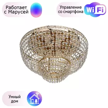 Потолочная люстра MW-Light Патриция с поддержкой Маруся 447011406-М