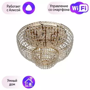 Потолочная люстра MW-Light Патриция с поддержкой Алиса 447011406-A