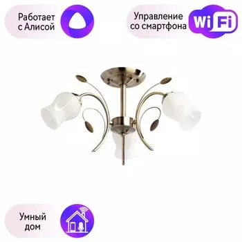 Потолочная люстра MW-Light с поддержкой Алиса 256018103-A