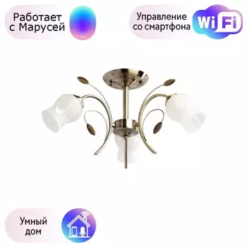 Потолочная люстра MW-Light с поддержкой Маруся 256018103-М