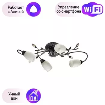 Потолочная люстра MW-Light Верона с поддержкой Алиса 334013504-A
