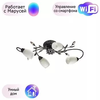 Потолочная люстра MW-Light Верона с поддержкой Маруся 334013504-М