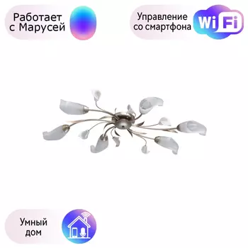Потолочная люстра MW-Light Восторг 19 с поддержкой Маруся 242016306-М