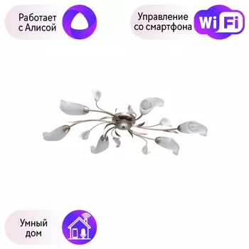 Потолочная люстра MW-Light Восторг 19 с поддержкой Алиса 242016306-A