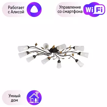 Потолочная люстра MW-Light Восторг с поддержкой Алиса 242015410-A