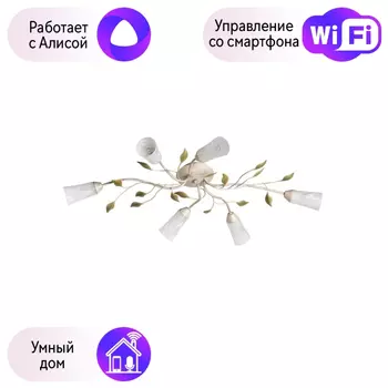 Потолочная люстра MW-Light Восторг с поддержкой Алиса 242015306-A