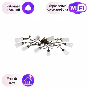 Потолочная люстра MW-Light Восторг с поддержкой Алиса 242015410-A