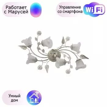 Потолочная люстра MW-Light Восторг с поддержкой Маруся 242014806-М