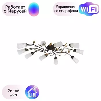 Потолочная люстра MW-Light Восторг с поддержкой Маруся 242015410-М