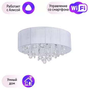 Потолочная люстра MW-Light Жаклин с поддержкой Алиса 465015709-A