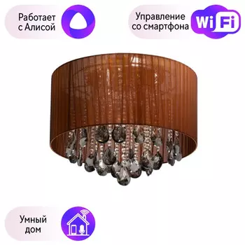 Потолочная люстра MW-Light Жаклин с поддержкой Алиса 465017006-A