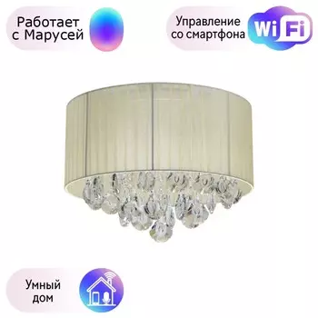 Потолочная люстра MW-Light Жаклин с поддержкой Маруся 465016304-М