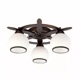 OML-50507-03 Потолочная люстра Omnilux Fronteira
