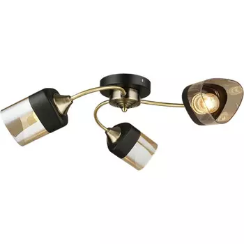 Потолочная люстра Reluce 04153-0.3-03 (1420709)