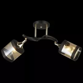 Потолочная люстра Reluce 04484 1422057