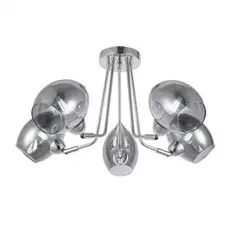 Потолочная люстра Rinno Evoluce SLE102402-05