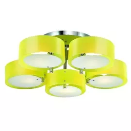 Потолочная люстра Evoluce Foresta SL483.092.05