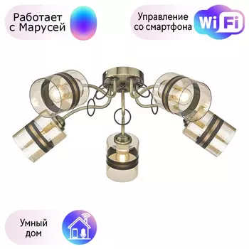 Потолочная люстра Velante с поддержкой Маруся 217-507-05-М