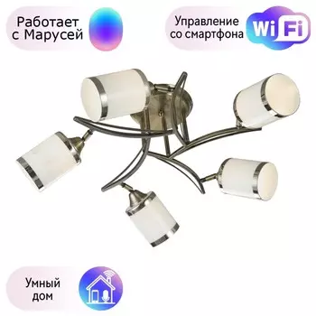 Потолочная люстра Velante с поддержкой Маруся 713-507-05-М