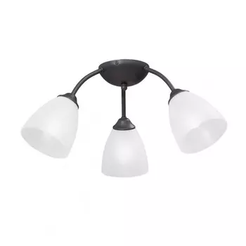 Потолочная люстра Vitaluce V3737-2/3PL