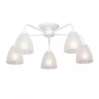 Потолочная люстра Vitaluce V3946-0/5PL