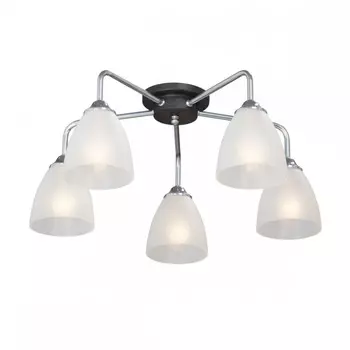 Потолочная люстра Vitaluce V4500-9/5PL