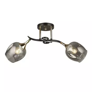 Потолочная люстра Wedo light Alvi 66744.01.15.02