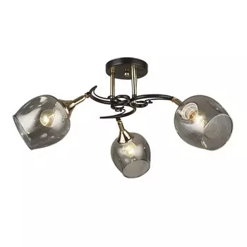 Потолочная люстра Wedo light Alvi 66744.01.15.03