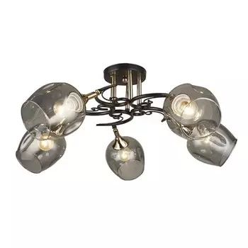 Потолочная люстра Wedo Light Alvi 66744.01.15.05