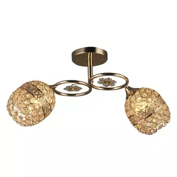 Потолочная люстра Wedo Light Aybika 66761.01.01.02