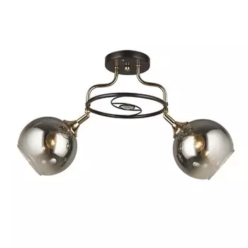 Потолочная люстра Wedo Light Zofi 66757.01.15.02